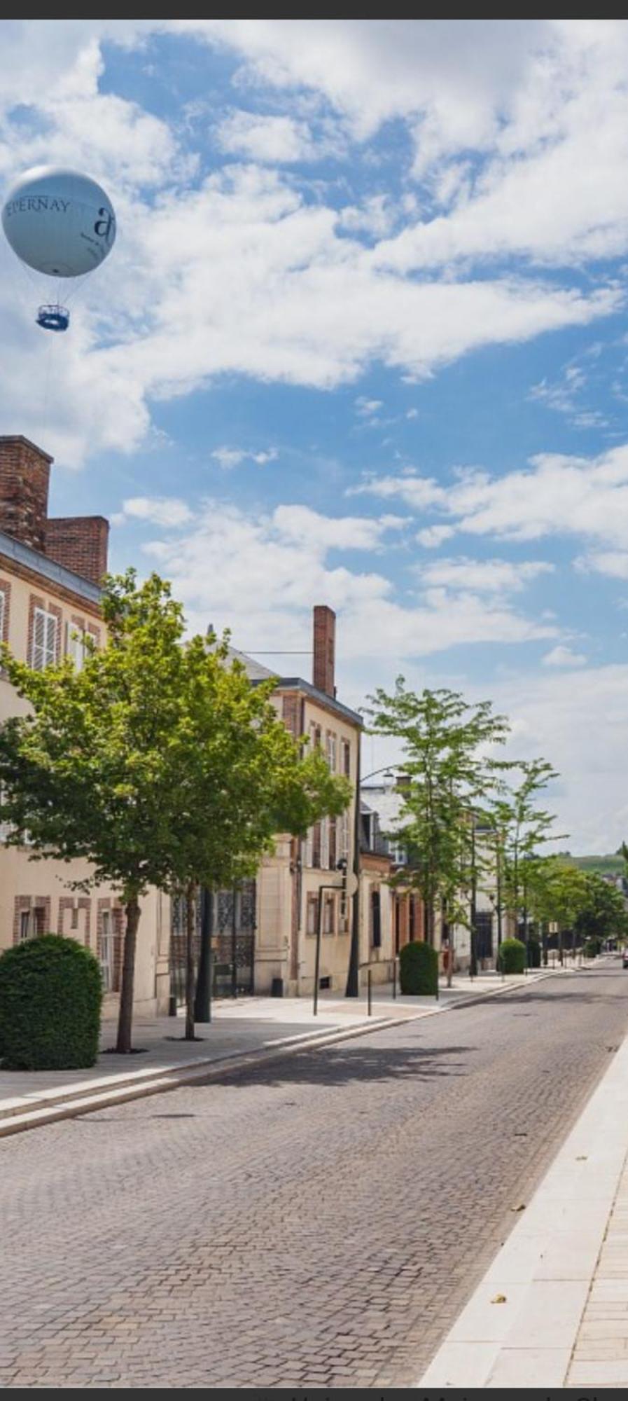 Les Loges Du Theatre Degustation Champagne Offerte Jacuzzi Sauna Jeux Velos Maison Prive 150M2 Historique 14Pers Max Emplacement Exceptionnel Et Chic, 200M De L'Avenue De Champagne, Gare, Musee, Jardins, Restaurations, Toutes Commodites Эперне Экстерьер фото